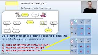 Erfelijkheid stambomen  Biodam thema 3 video 3 van 4 [upl. by Ikcim]