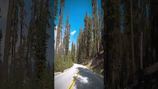 Driving Through Yosemite National Park [upl. by Pardoes287]