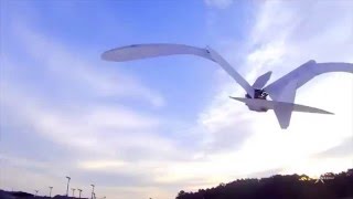 Birds Fly With Lifelike Bird Drone  Friendly Skies [upl. by Hpesojnhoj]