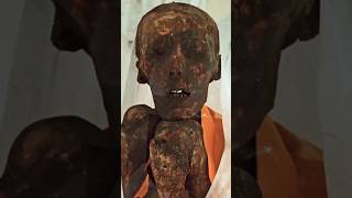 Indias Shocking Ancient Mummy Discovery  egypt mummy indianfactshindi [upl. by Ingles]