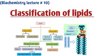 Classification of lipids [upl. by Trish]