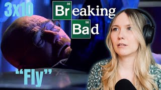 Breaking Bad S03E10  quotFlyquot Reaction [upl. by Akenom]