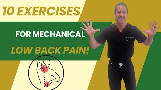 Top 10 Exercises for Lower Back Pain Relief [upl. by Arualana]