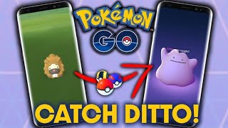 Pokemon GO Ditto disguises June 2024 Catching list how to find PokemonGo DittoDisguises [upl. by Akeret]