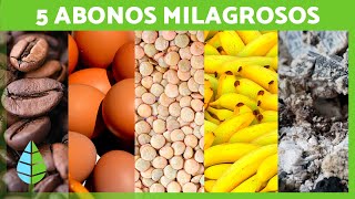 5 Abonos NATURALES para tus PLANTAS 🌱  Fertilizantes CASEROS [upl. by Emmett791]