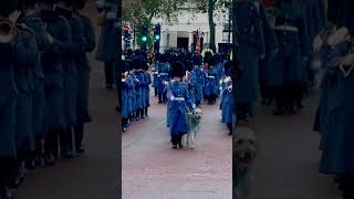 Changing of the guard  Changing of the guard Buckingham palace  changing the guard  London  2023 [upl. by Ellehsar]