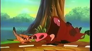 Timon amp Pumbaa Theme Song [upl. by Ahdar]