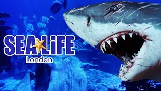 SEA LIFE London Walkthrough Tour [upl. by Maegan]