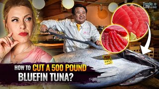 How to Cut a 500Pound Bluefin Tuna Secrets of the Professional Masters [upl. by Warga616]