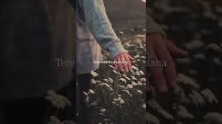 Tu hai jo roobaroo mere 💞  WhatsApp status  Aesthetic vibe 💫 [upl. by Naillimixam361]