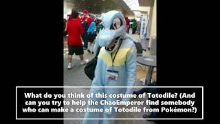 What Do You Think Of This Totodile Costume From Pokemon Gold and Silver [upl. by Arias]