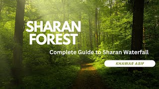 Sharan Forest  Sharan Pods  Sharan waterfall  Complete Guide  waterfall nature water [upl. by Yt]