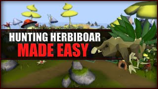 Quick Guide to Hunting Herbiboar in OSRS  Hunter Guide  Hunters Rumours [upl. by Elah]