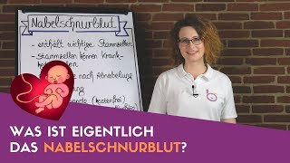 Was ist eigentlich das Nabelschnurblut [upl. by Eenalem103]