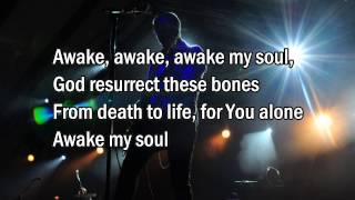 Awake My Soul  Chris Tomlin Worship song with Lyrics 2013 New Album [upl. by Calvano339]