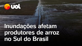 Enchentes no Rio Grande do Sul afetam produtores de arroz no sul do Brasil [upl. by Yle]