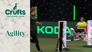 Agility  Championship  SmallMedium Final  Crufts 2024 [upl. by Novled]