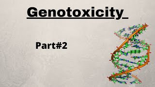 Genotoxicity part2Clastogenic breaks in DNAMicronucleus testComet assay techcytometric analysis [upl. by Glenna]