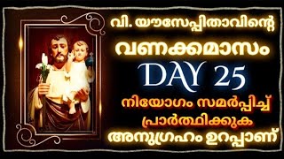 വിയൗസേപ്പിതാവിന്റെ വണക്കമാസം Day 25StJoseph Vanakkamasam 2024 MARCH 25 frmathewvayalamannil [upl. by Renferd]