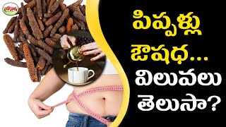 పిప్పళ్లు ఔషధ విలువలుతెలుసా  Health Beneifts Of Pippali  Telugu Health Tips  Aarogya Sutra [upl. by Canute775]