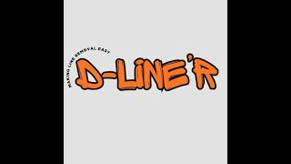 DLiner R V2 [upl. by Aihsenal]