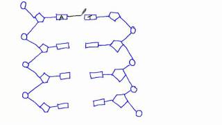 335 Draw a simple diagram of DNA structure [upl. by Rotce]