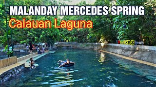 MALANDAY MERCEDES HOT SPRING IN CALAUAN LAGUNA I BEST PRIVATE HOTSPRING RESORT I ABOT KAYA DITO [upl. by Hyrup497]