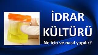 İDRAR KÜLTÜRÜ NEDİR NE İÇİN VE NASIL YAPILIR [upl. by Mcdonald772]