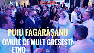 Puiu Fagarasanu🛑Omule ce mult greșești💯Live 2024 [upl. by Yroc130]