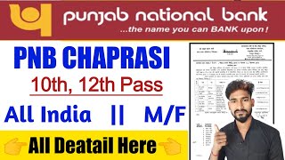 PNB बैंक मे Peon भर्ती 2024 PNB BANK VACANCY 2024PNB BANK PEON BHARTI 2024 Punjab​ National​ [upl. by Linn520]