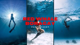 Red Whale Boracay Party yacht l Freediving [upl. by Knowland]