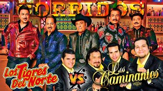 LOS TIGRES DEL NORTE Y LOS CAMINANTES MIX SOLO EXITOS  PUROS CORRIDOS PESADOS PA PISTEAR [upl. by Elyod]