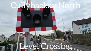 Cullybackey North Level Crossing Ballymena Monday February 19022024 [upl. by Cusack]