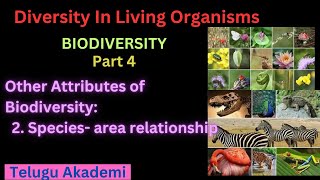 biodiversity part 4 speciesarea relationship [upl. by Montagna770]