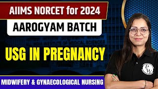 USG in Pregnancy  Midwifery amp Gynaecological Nursing  NORCET 6 2024 [upl. by Anatola]