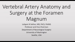 Vertebral Artery Anatomy and Surgery at the Foramen Magnum [upl. by Anauj]