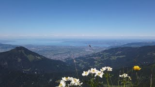 Bregenzerwald Bike and Hike Mörzelspitze von Mellau aus 1300 Höhenmeter und 29 km [upl. by Eladnor]