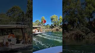 Boat trip at Dalyan river TravelwithHugoF dalyan travelturkey travelshorts [upl. by Hogg838]