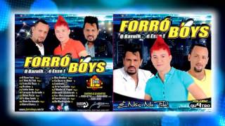 Forró Boys Vol 04  O Novo Som Lançamento [upl. by Tews497]