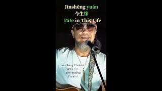 quotFate in This Lifequot The Viral Chinese Song With Pinyin Characters and English Subtitles [upl. by Rekrap]