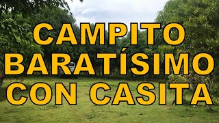 Campito Barato Con Casita en Venta 20242025 Real Estate For Sale [upl. by Jb762]