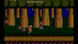 Adventure Island NES  Level 74  Perfect Run Recorded on Wii Virtual Console [upl. by Loralyn904]