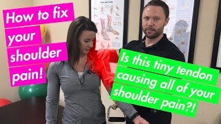 Shoulder Pain Fix For Bicep Tendon FAST  Chiropractor Friendswood [upl. by Ila]