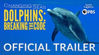 Dolphins Breaking the Code  Trailer [upl. by Ahsienek249]