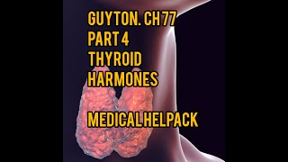 Regulation of thyroid harmones guyton ch 77 part 4 physiology [upl. by Anneh]