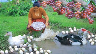 survival in the rainforest  Found Duck egg meet Grapes in forest  Cook soup egg eating delicious [upl. by Telfore]