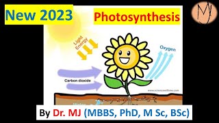 Photosynthesis light and dark reactions regulation and challenges new 2023 DoctorTutors [upl. by Odeen]