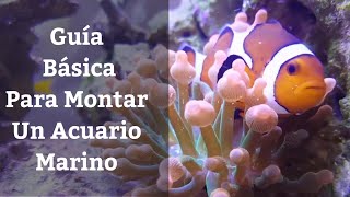 🔵 Guía Básica Para Montar Un Acuario MarinoAcuario Marino Paso A Paso 1x27 Acuarios MB [upl. by Audras]