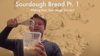 HOW TO MAKE A SOURDOUGH STARTER RECIPE [upl. by Arbrab]