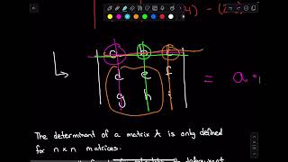 Week 4  Lesson 18  The Determinant [upl. by Dan846]